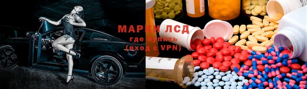 шишки Новокубанск