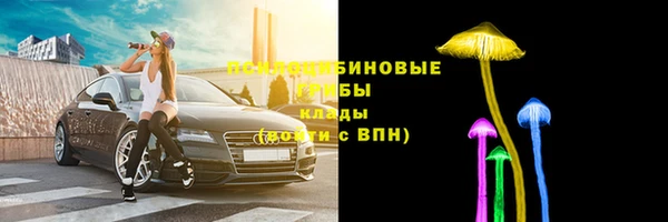 шишки Новокубанск