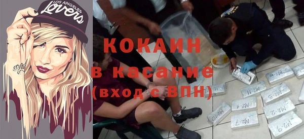 шишки Новокубанск