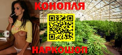 гашиш Гатчина