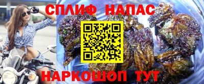мдпв Гагарин