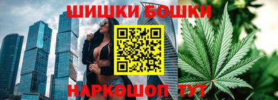 мдпв Гагарин