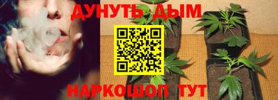 мдпв Гагарин