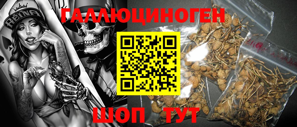 Псилоцибиновые грибы MAGIC MUSHROOMS  Галлюциногенные грибы Psilocybine cubensis  Вход с VPN  Мичуринск 