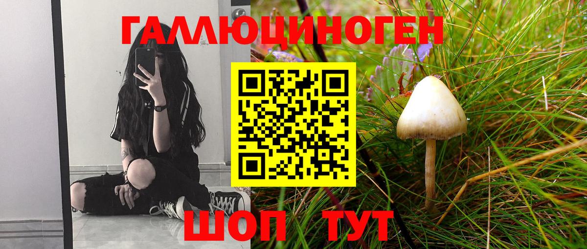 Псилоцибиновые грибы ЛСД Мичуринск